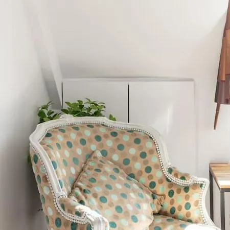 Apartment Parisian In The 16th